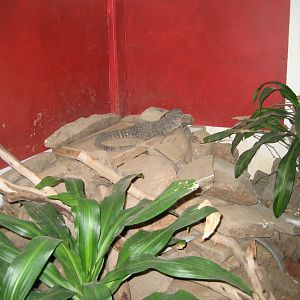 Lace Monitor enclosure