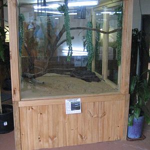 Scrub Python tank