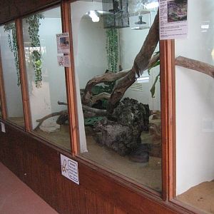 Example of Reptile tanks