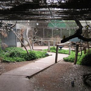 Interior of Cockatiel/Budgie Aviary