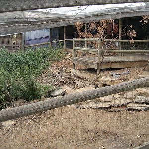 Walkthrough enclosure for Kookaburras, possums, bettongs, potoroos.