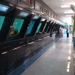 Aquarium