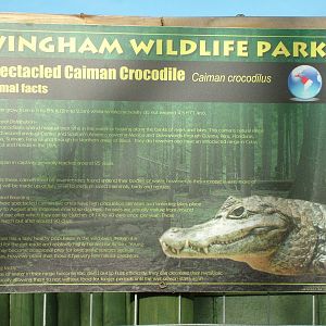 Signage Example at Wingham 28/11/09