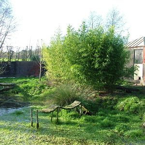 Short-clawed Otter exhibit at Wingham 28/11/09