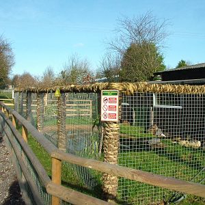 Outdoor Alligator area at Wingham 28/11/09