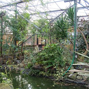 Tropical House at Wingham 28/11/09