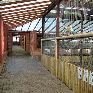 Parrot House at Wingham 28/11/09