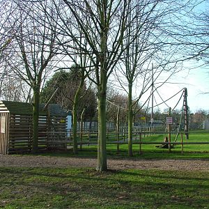 Ring-tailed Lemur walkthrough at Wingham 28/11/09