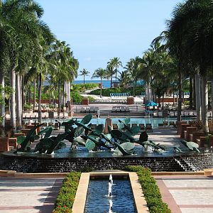 Resort Grounds