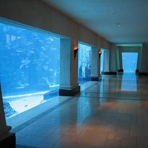Royal Towers - Great Hall of Waters - View into Ruins Lagoon