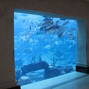 Royal Towers - Great Hall of Waters - View into Ruins Lagoon