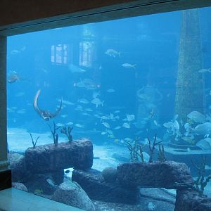 Royal Towers - Great Hall of Waters - View into Ruins Lagoon