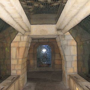 The Dig - Spiny Lobster Exhibit