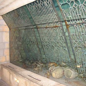 The Dig - Spiny Lobster Exhibit