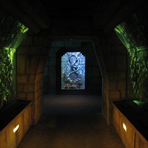 The Dig - Spiny Lobster Exhibit