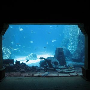 The Dig - View to Ruins Lagoon