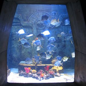 The Dig - Lookdown Exhibit