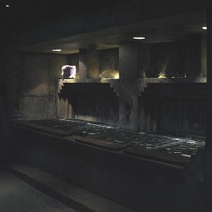 The Dig - Sea Star and Horseshoe Crab Touch Tank