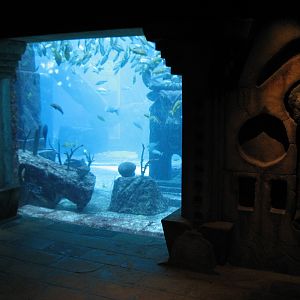 The Dig - View to Ruins Lagoon