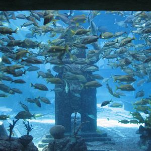 The Dig - Ruins Lagoon