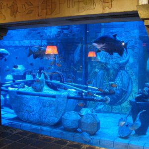 The Dig - Red-bellied Piranha Exhibit