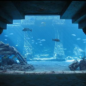 The Dig - View to Ruins Lagoon