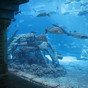 The Dig - View to Ruins Lagoon