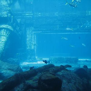 The Dig - View to Ruins Lagoon