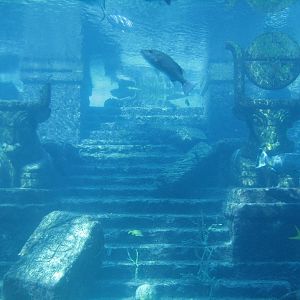 The Dig - Ruins Lagoon