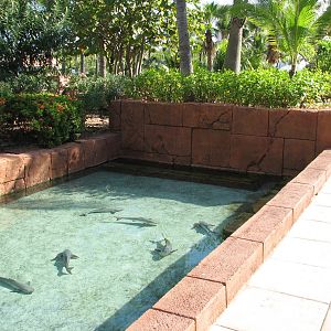 The Dig - Shallow Shelf of Ruins Lagoon