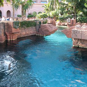The Dig - Ruins Lagoon Top View