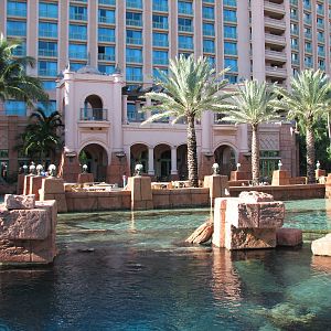 The Dig - Ruins Lagoon Top View