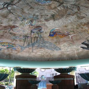 Predator Lagoon - Lagoon Bar Ceiling