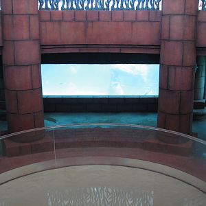 Predator Lagoon - Underwater Viewing Area