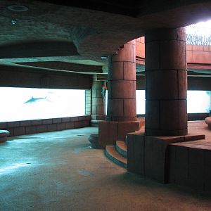 Predator Lagoon - Underwater Viewing Area