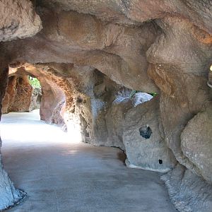 Predator Lagoon - Cave