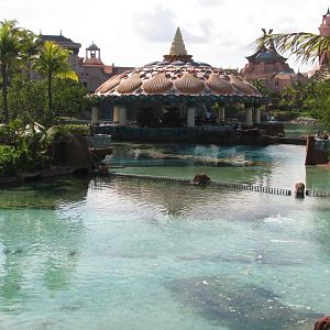 Predator Lagoon - Great Hammerhead Area of Lagoon