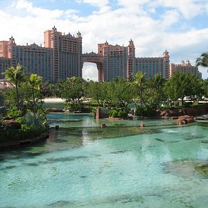 Predator Lagoon - Great Hammerhead Area of Lagoon