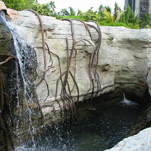 Aquaventure - Cenote - Top View of Aquarium