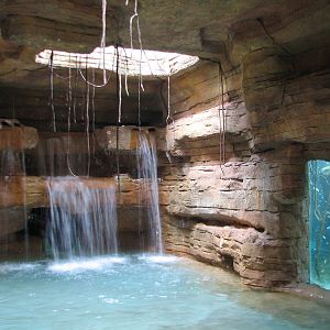 Aquaventure - Cenote - Waterslide Splashpool and Aquarium