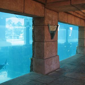 Mayan Temple Lagoon - Underwater Viewing Area