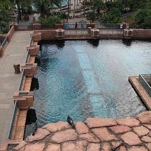 Mayan Temple Lagoon - Top View