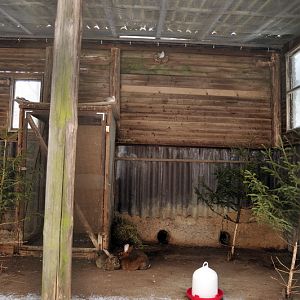 Exhibit for birds and rabbits at Wildpark Neuhaus
