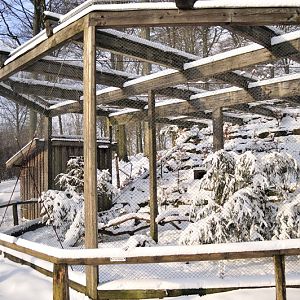 Wildcat-enclosure at Wildpark Neuhaus