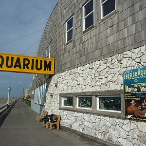 Aquarium Entrance