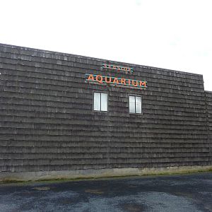 Aquarium Exterior