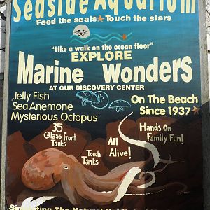 Aquarium Entrance - Poster