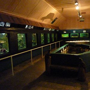 Aquarium Interior - Only About 35 Tanks In Total