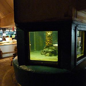 Aquarium Interior - Only About 35 Tanks In Total