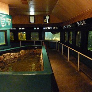 Aquarium Interior - Only About 35 Tanks In Total